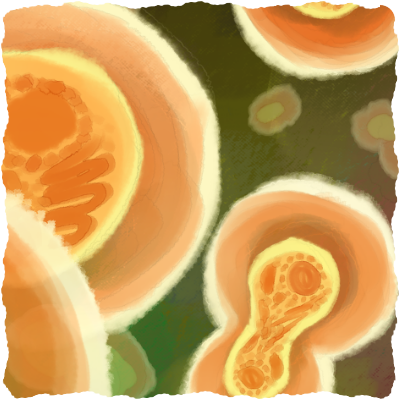 Experimental: Card art for the Verge TCG, depicting stylized monster cells splitting.